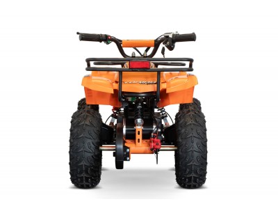 Electric Quads Torino 1000W 48V Kids Electric Quad Bike